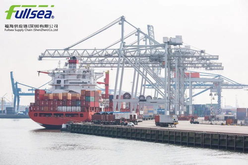 貨代人如何打造專業(yè)人設(shè) 打造信任與價值的貨運代理形象